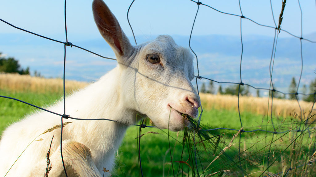 Bielsko-Biała 2014 ze szczytu Magurki
