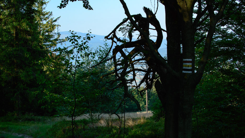 Bielsko-Biała 2014 ze szczytu Magurki