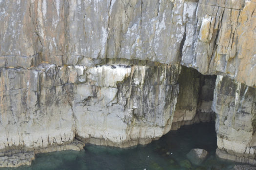 Barafundle Bay
