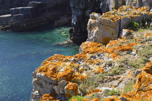 Barafundle Bay