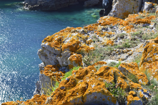 Barafundle Bay