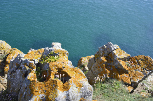 Barafundle Bay