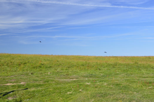 Barafundle Bay