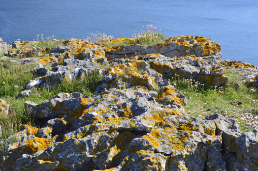Barafundle Bay