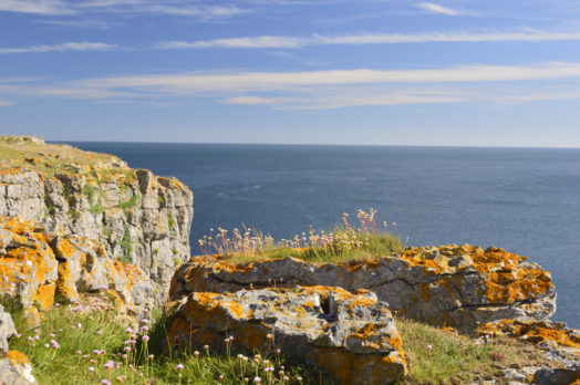 Barafundle Bay