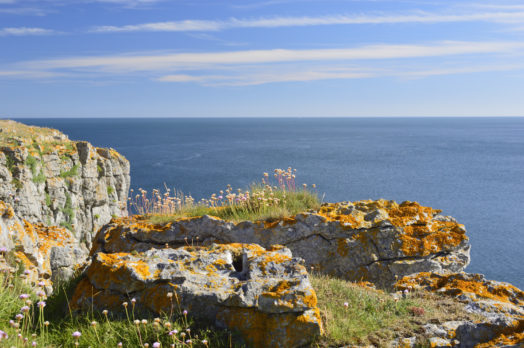Barafundle Bay