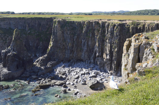 Barafundle Bay