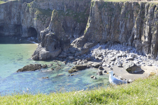 Barafundle Bay