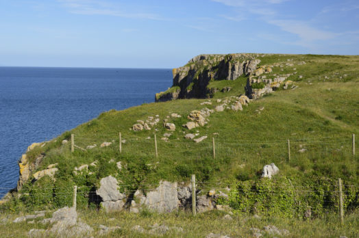 Barafundle Bay