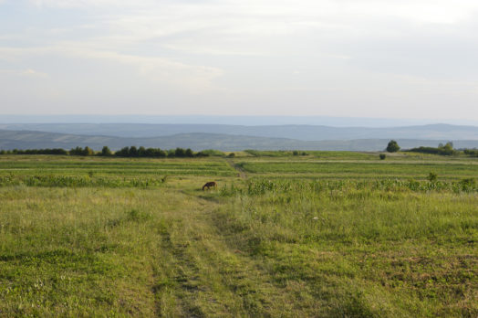 Mołdawia