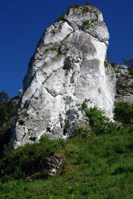 Wspinaczka skałkowa Mirów