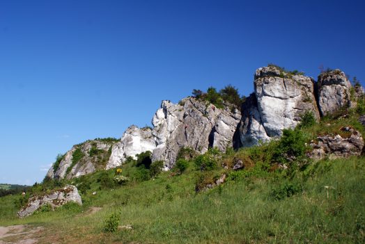 Wspinaczka skałkowa Mirów