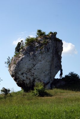 Wspinaczka skałkowa Mirów