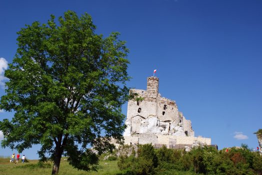 Wspinaczka skałkowa Mirów