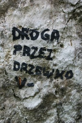 Wspinaczka skałkowa Wielka Baszta